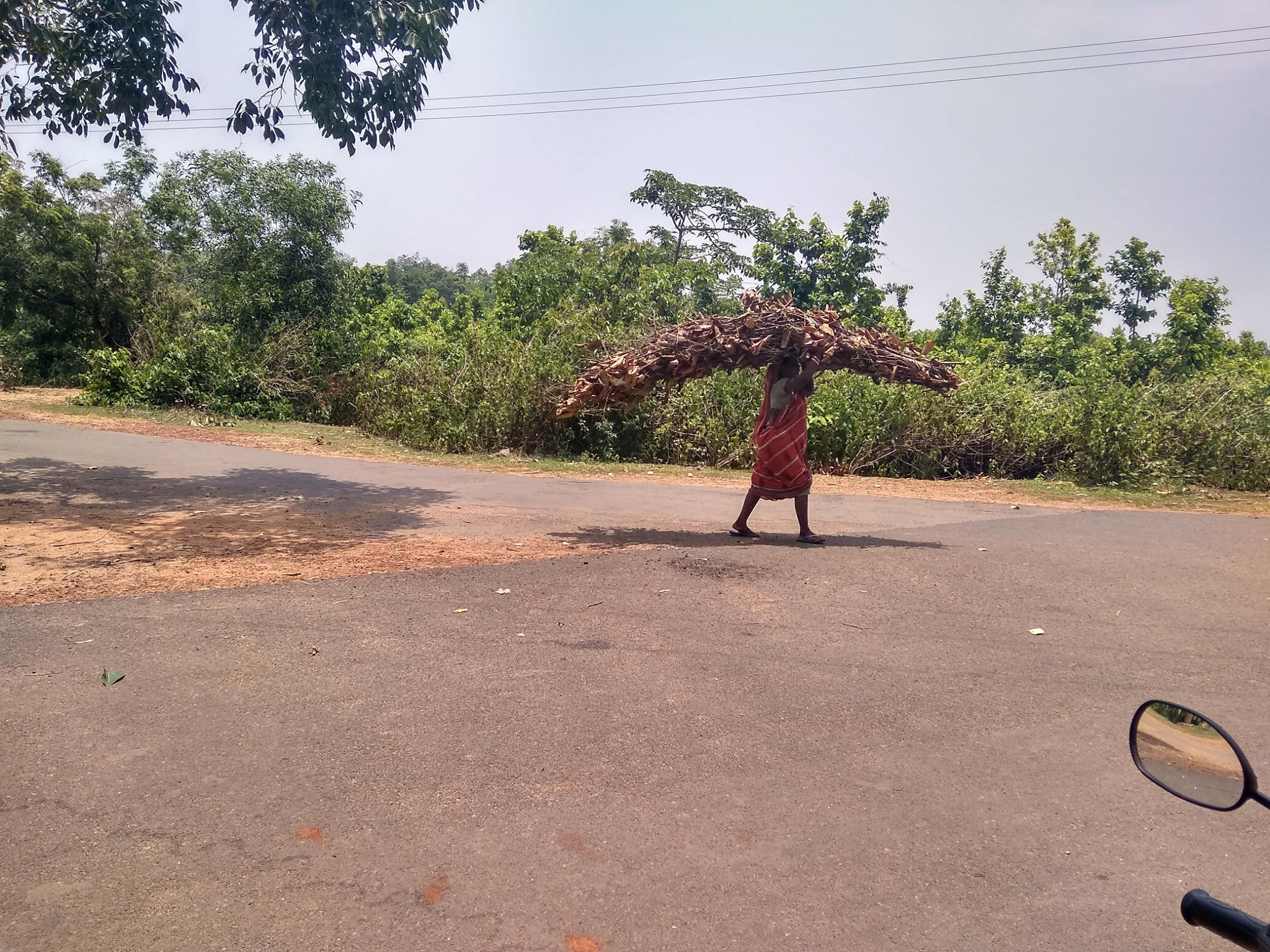 Fire-Wood Seller