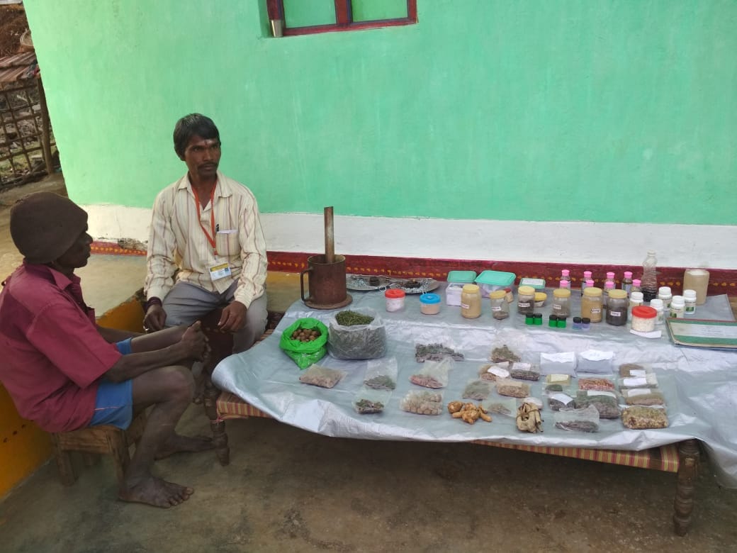 Traditional Healer
