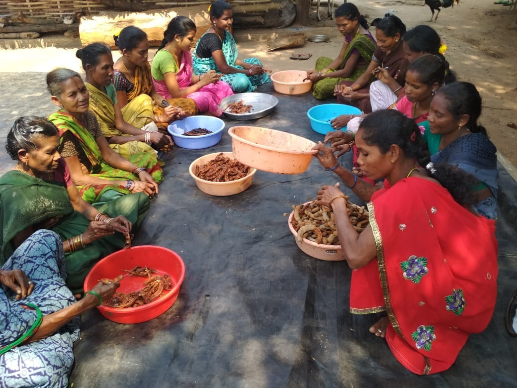 Tamarind De-Shelling